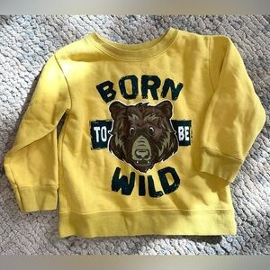 Garanimals pullover sweatshirt
